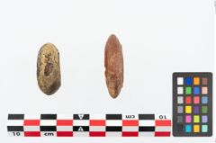 Foto von Bernsteinperle (NHMW-PRAE-026307)